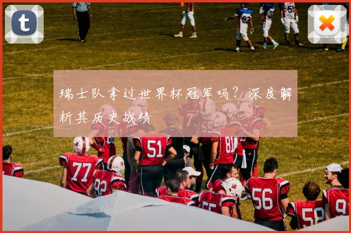 瑞士队拿过世界杯冠军吗？深度解析其历史战绩