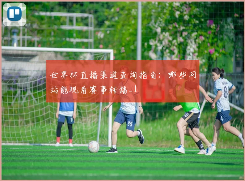 世界杯直播渠道查询指南:哪些网站能观看赛事转播_1