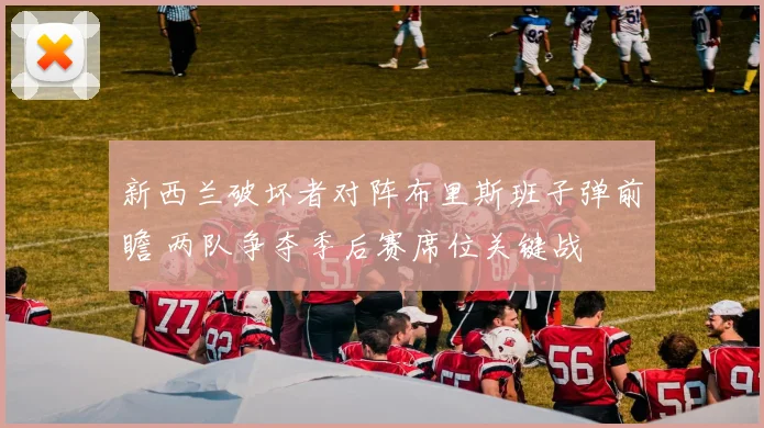 新西兰破坏者对阵布里斯班子弹前瞻 两队争夺季后赛席位关键战