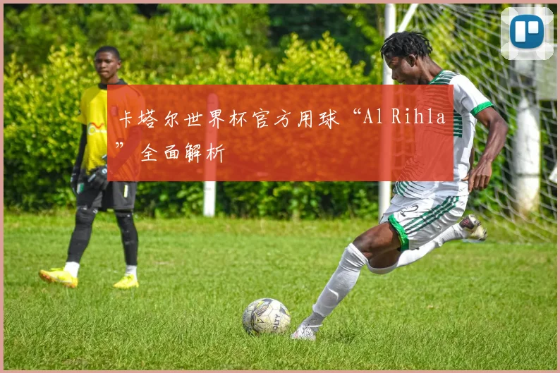 卡塔尔世界杯官方用球“Al Rihla”全面解析