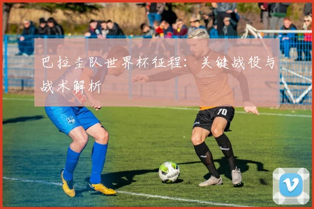 巴拉圭队世界杯征程:关键战役与战术解析
