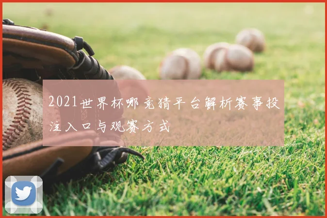 2021世界杯哪竞猜平台解析赛事投注入口与观赛方式